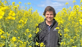 Scientist standing in a field of yellow flowers