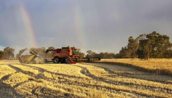 Machinery harvesting wheat