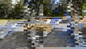 Two people inspecting bee hives