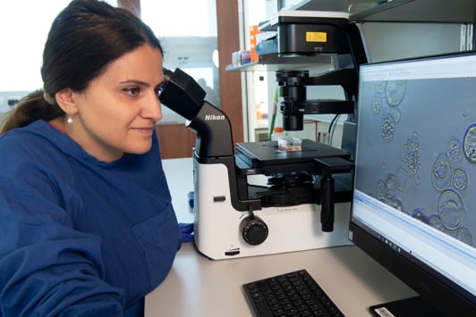 Research scientist reviewing results onscreen in the laboratory