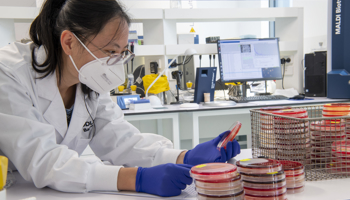Scientist inspecting specimen slides in the laboratory