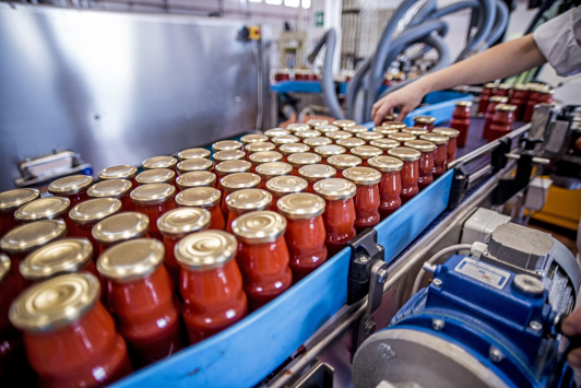 The working process of production of tomatoes in a factory