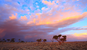 Blue sky with dark stormy clouds moving in over bushland