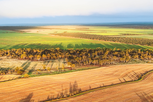 A carbon farming project