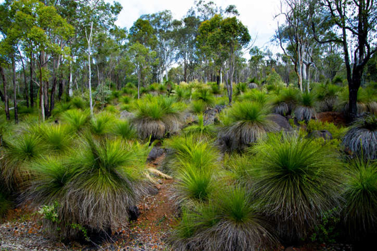 WA land conservation